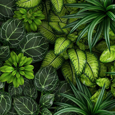 Sustainable Thematic Equities
