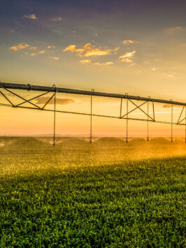 Agriculture - watering system