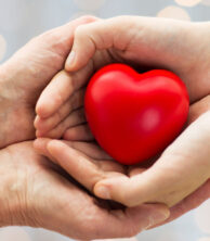 Hands holding a red cartoon heart